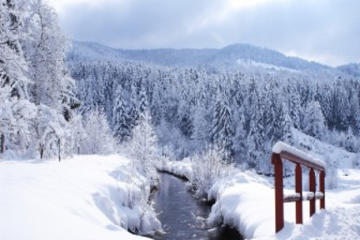 Raquettes privative du Grand Ventron - Bonjour Fun