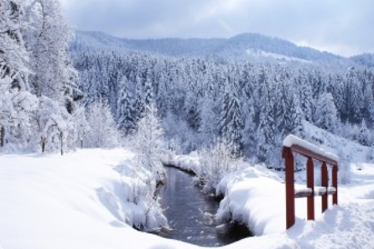 Raquettes  privative du Grand Ventron - Bonjour Fun