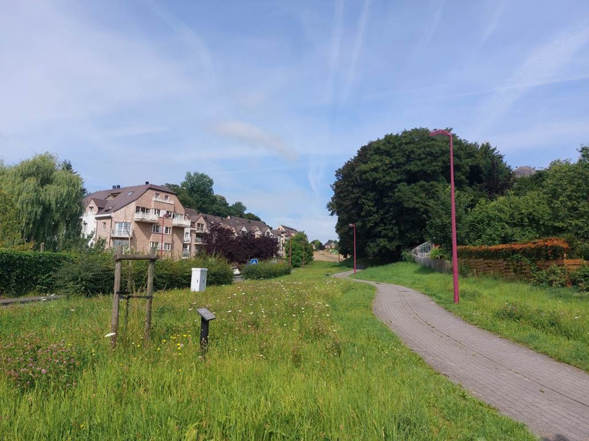 Redécouvrir la nature devant chez nous (CNB-BW) - Bonjour Fun