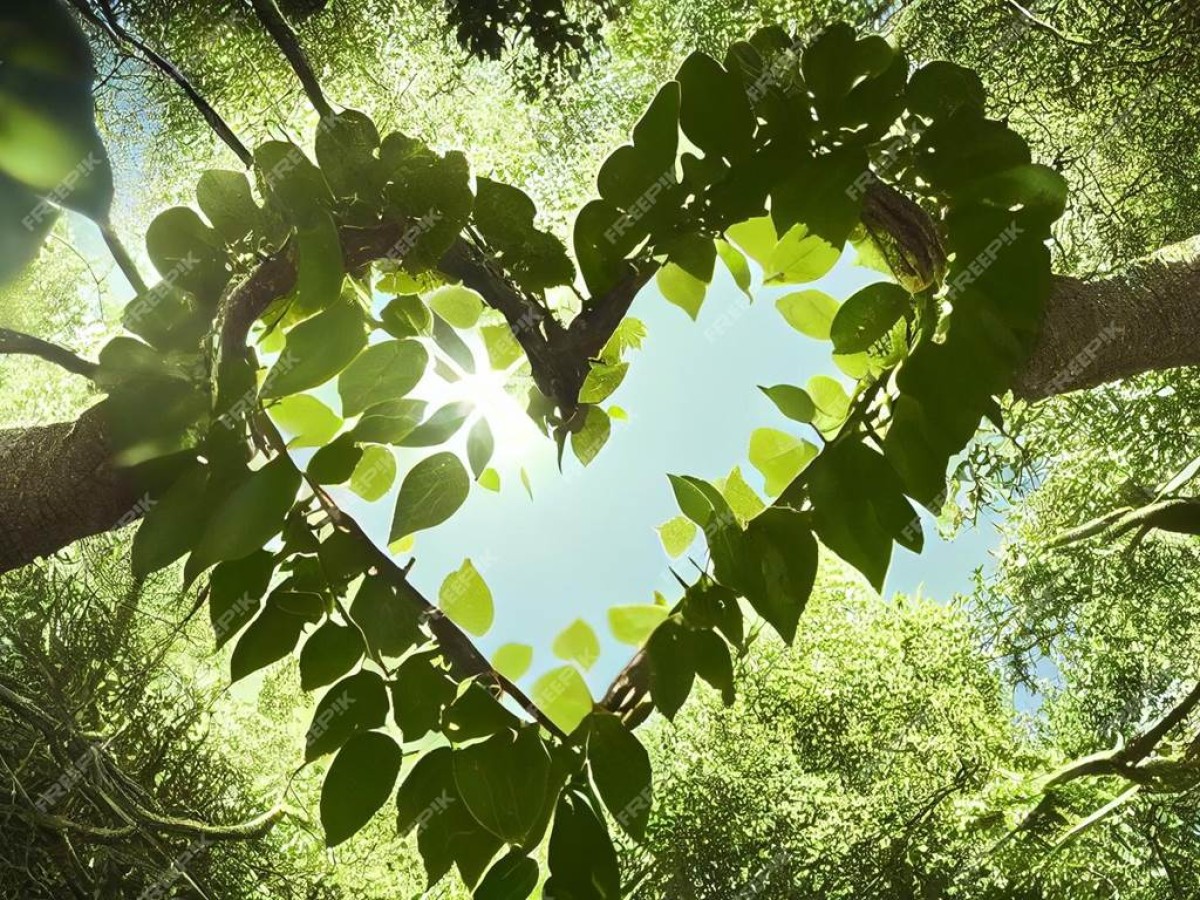 Rencontres insolites en Tarn et Garonne - Bonjour Fun