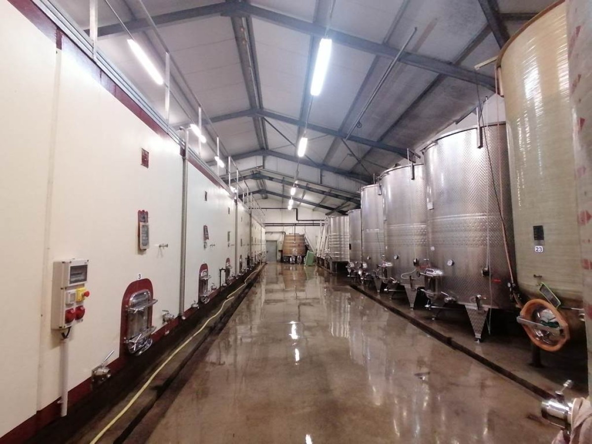 réservation d'une visite de cave privée - Bonjour Fun