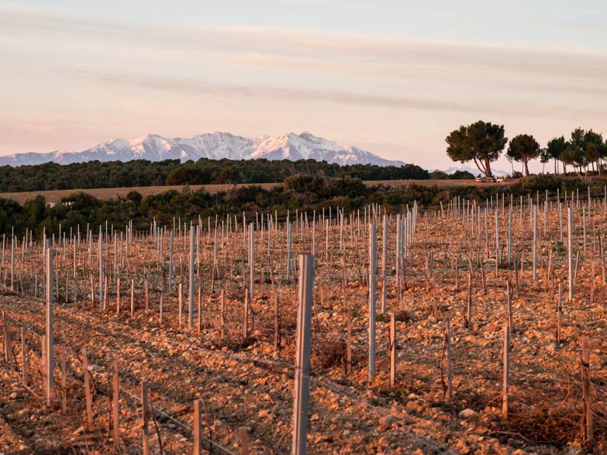 Rivesaltes, Les Secrets de son terroir - Bonjour Fun