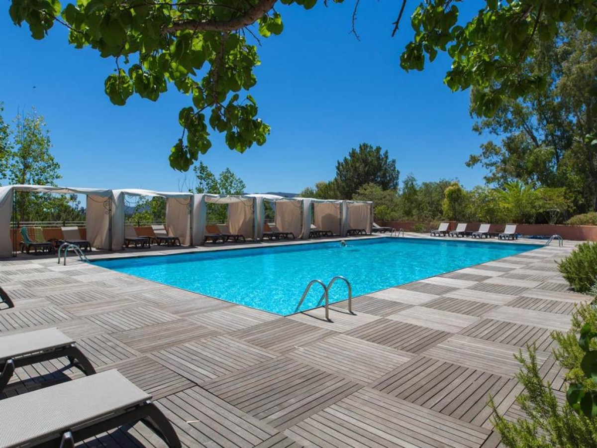 Royal Palm - Bonjour Fun