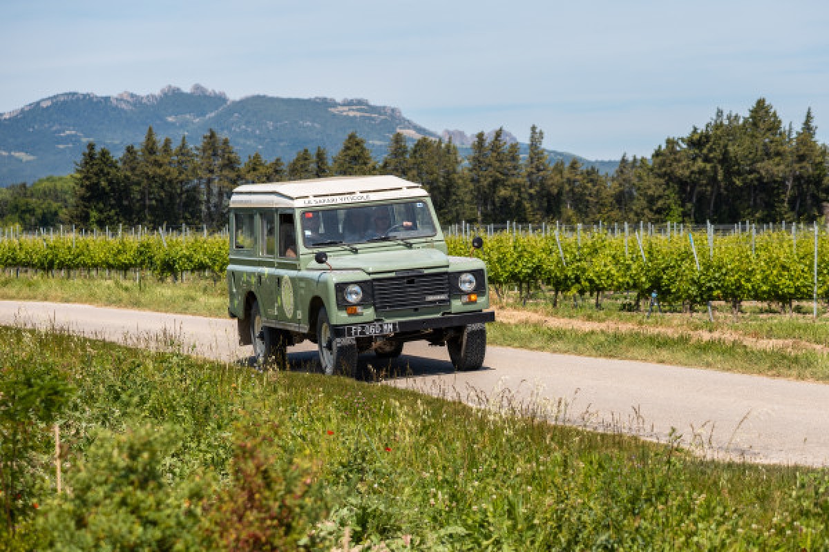 Safari Viticole en Land Rover - Bonjour Fun