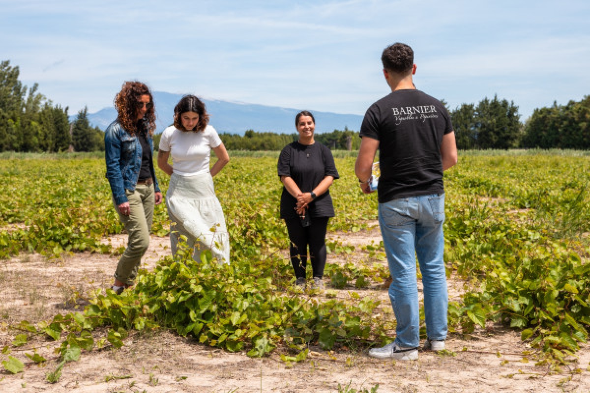 Safari Viticole en Land Rover - Bonjour Fun