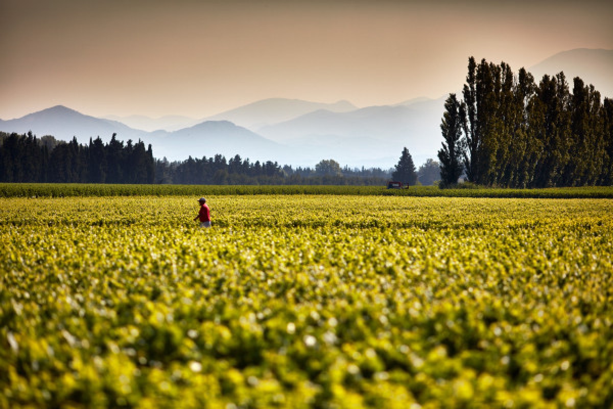 Safari Viticole en Land Rover - Bonjour Fun