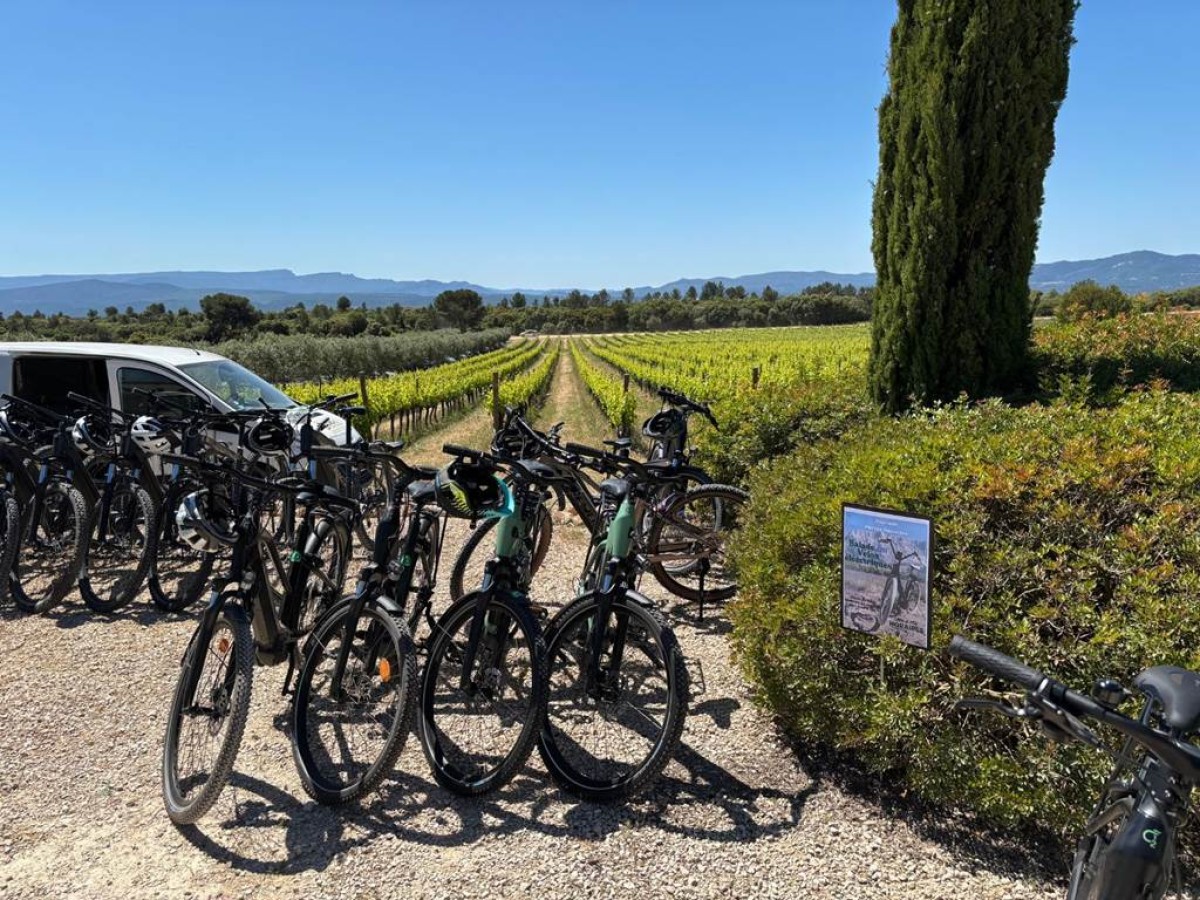 Séminaire-Team building (Groupe Min 12 Max 24 Pers.) - Bonjour Fun