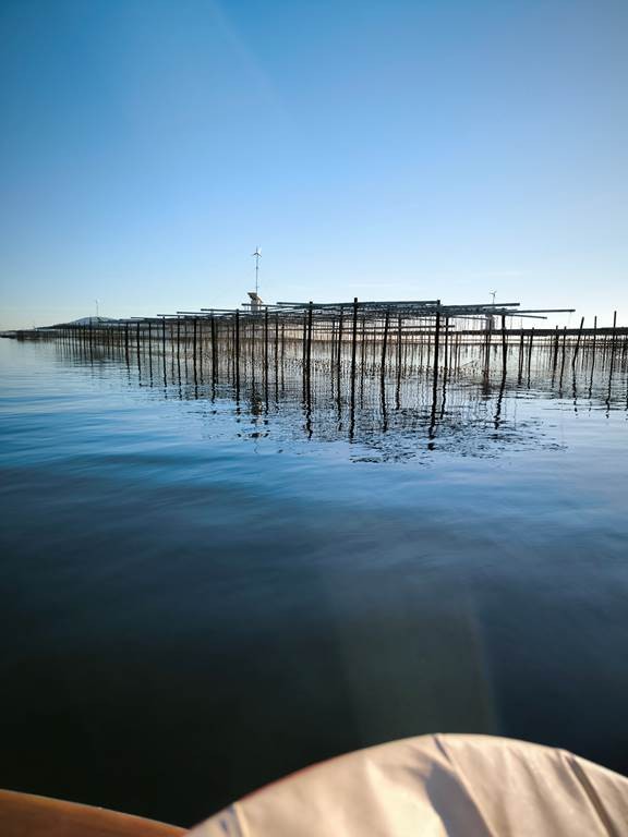 Sète et les petits port de la Lagune - Bonjour Fun