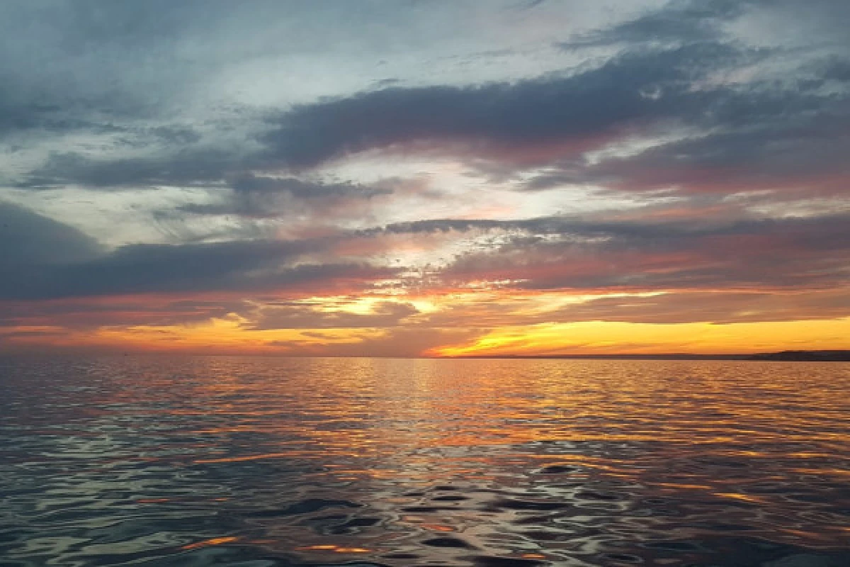 Soirée coucher du soleil en voilier dans les Calanques du Frioul - Quai d'honneur Mairie - Bonjour Fun
