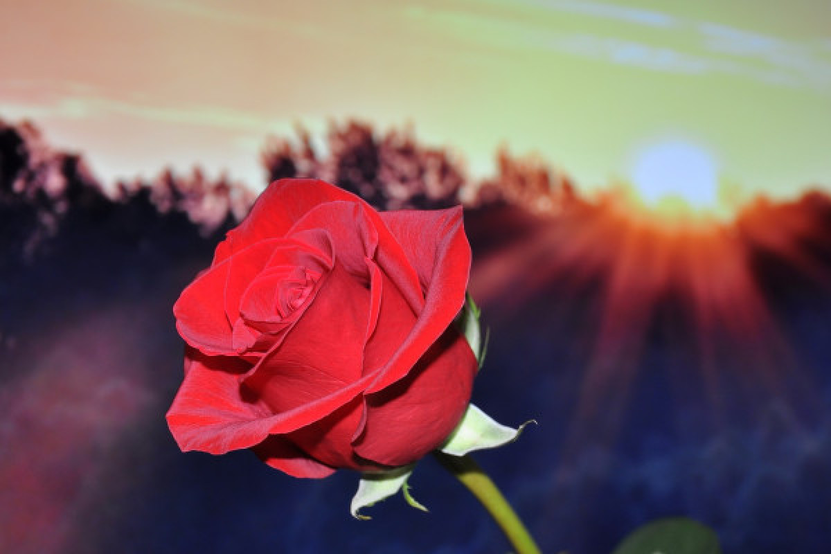 Soirée Saint Valentin à l'Auberge des pins - Tourrettes - Bonjour Fun