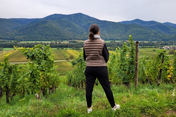 Sophrologie dans les vignes - Bonjour Fun