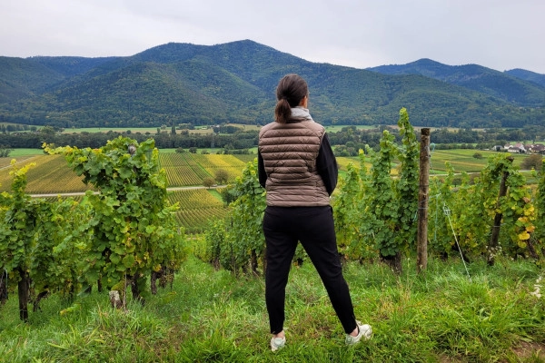 Sophrologie dans les vignes - Bonjour Fun