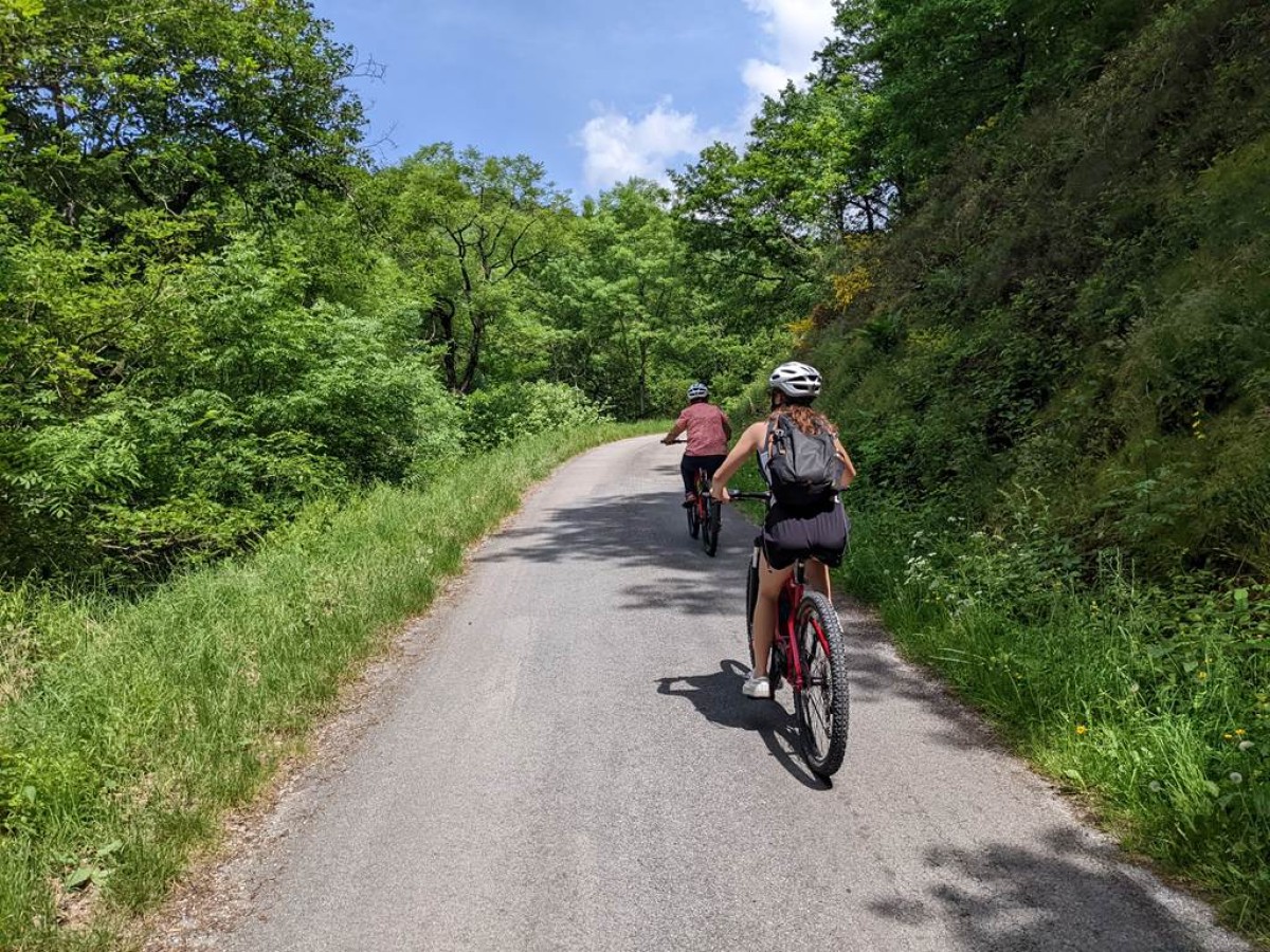 Soreze - Les Cammazes - St Ferreol - Bonjour Fun