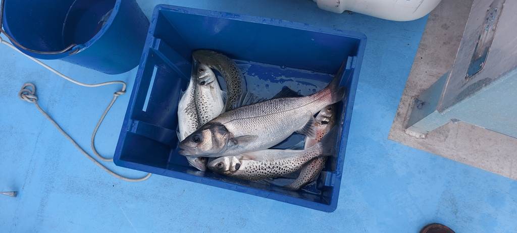 Sortie de Pêche en Mer autour du Phare du Cordouan - Bonjour Fun