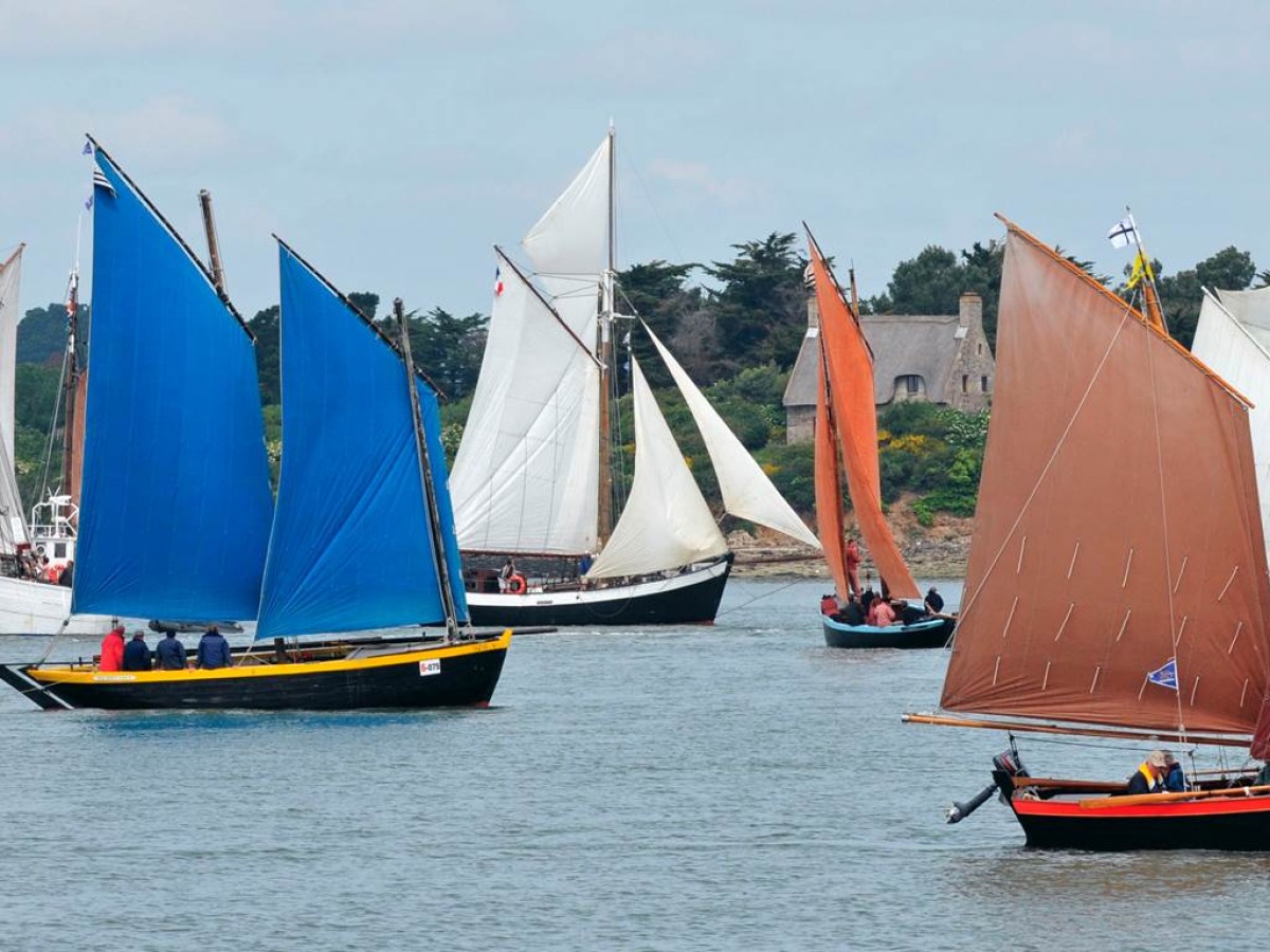 Sortie Découverte Semaine de Golfe - Bonjour Fun