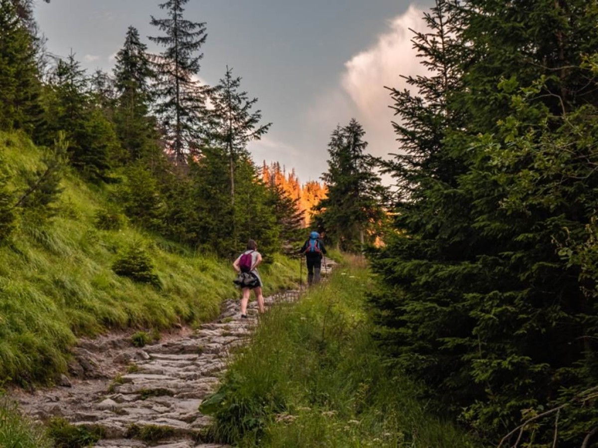 Sortie en plein air - Bonjour Fun