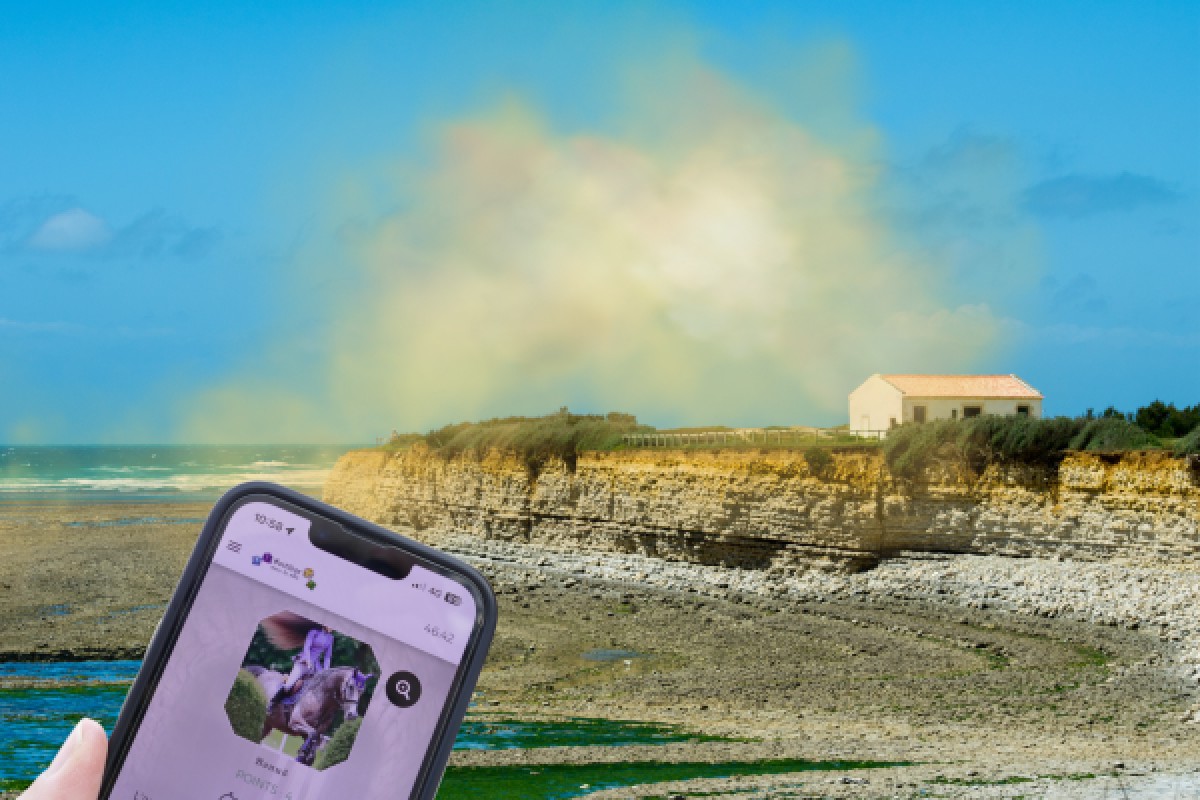 Sortilège à l'Île d'Oléron : Escape Game Outdoor thème magie - Bonjour Fun