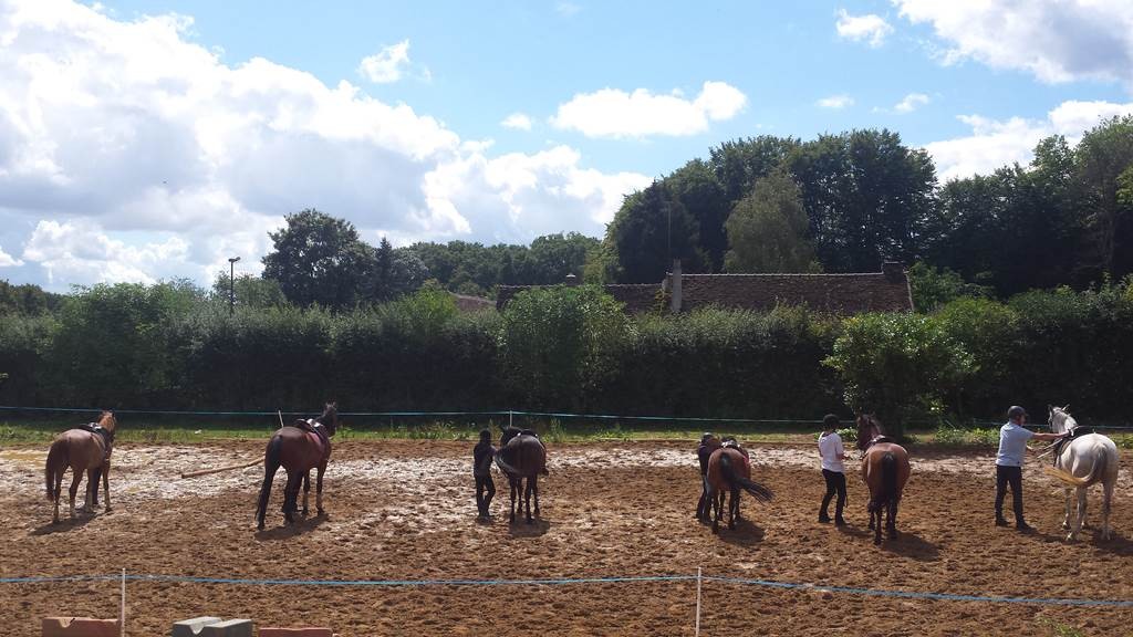 Stage 6H Journée - Bonjour Fun
