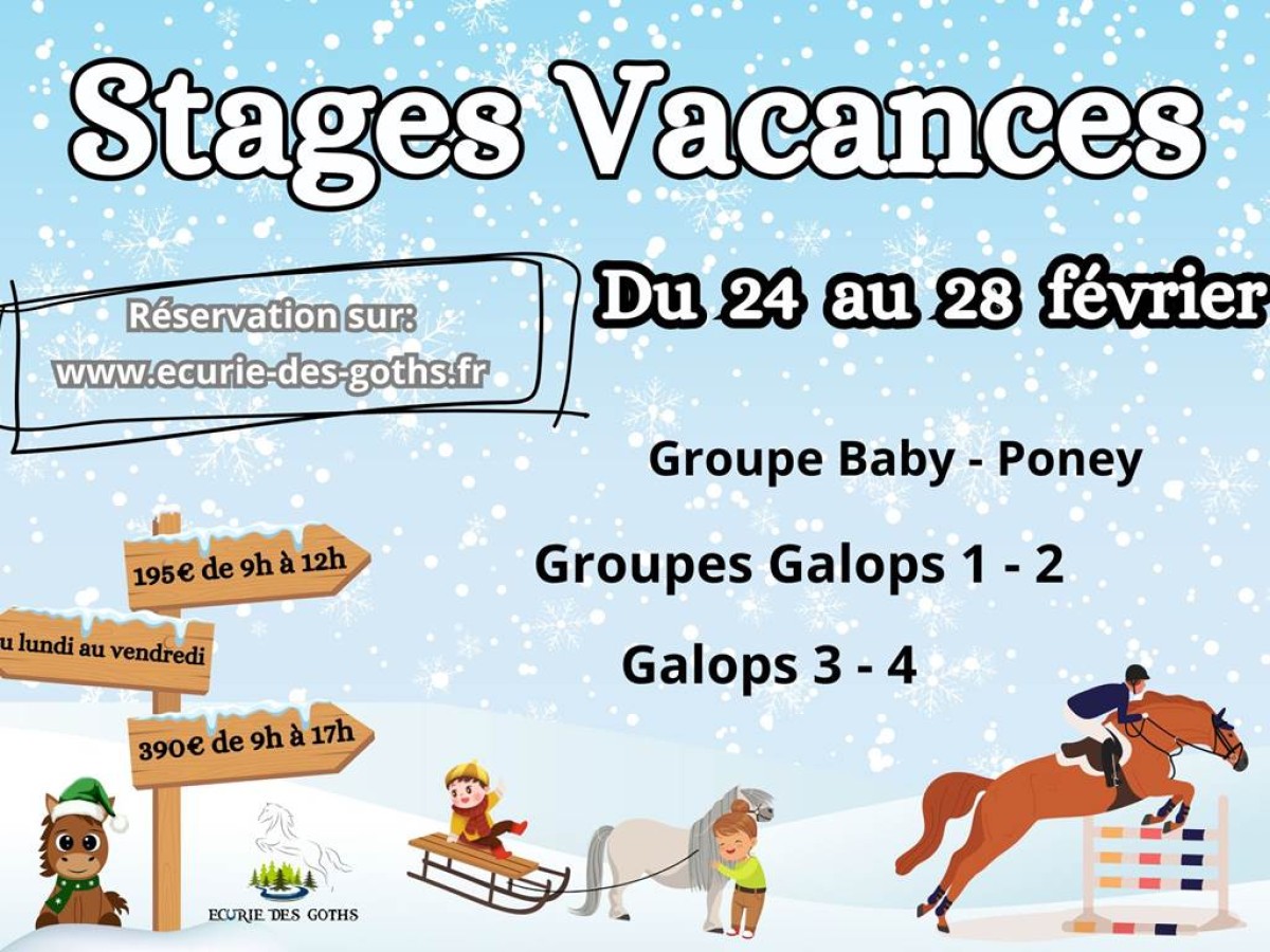 Stage d'hiver - Bonjour Fun