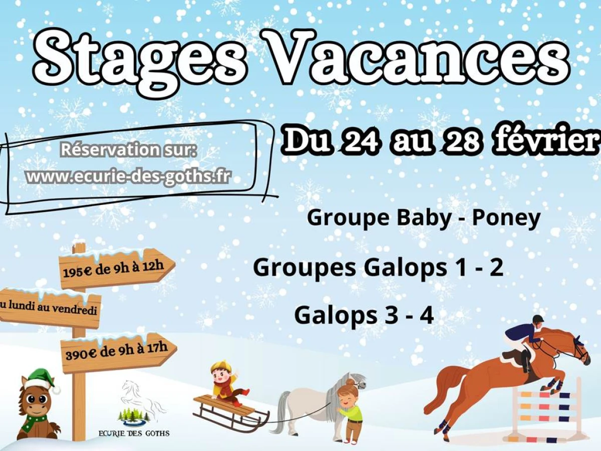Equitation - stage d'hiver - Bonjour Fun