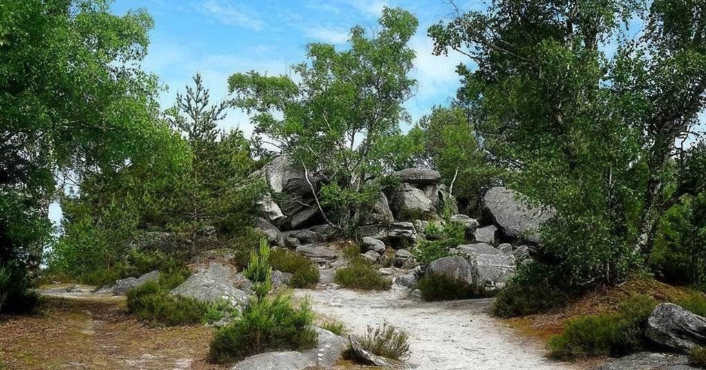 Station Bee's MELUN - Bonjour Fun