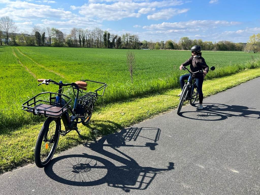 Station Bee's MELUN - Bonjour Fun