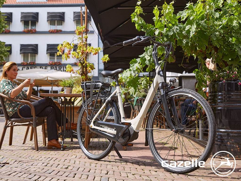 Station Bee's MELUN - Bonjour Fun