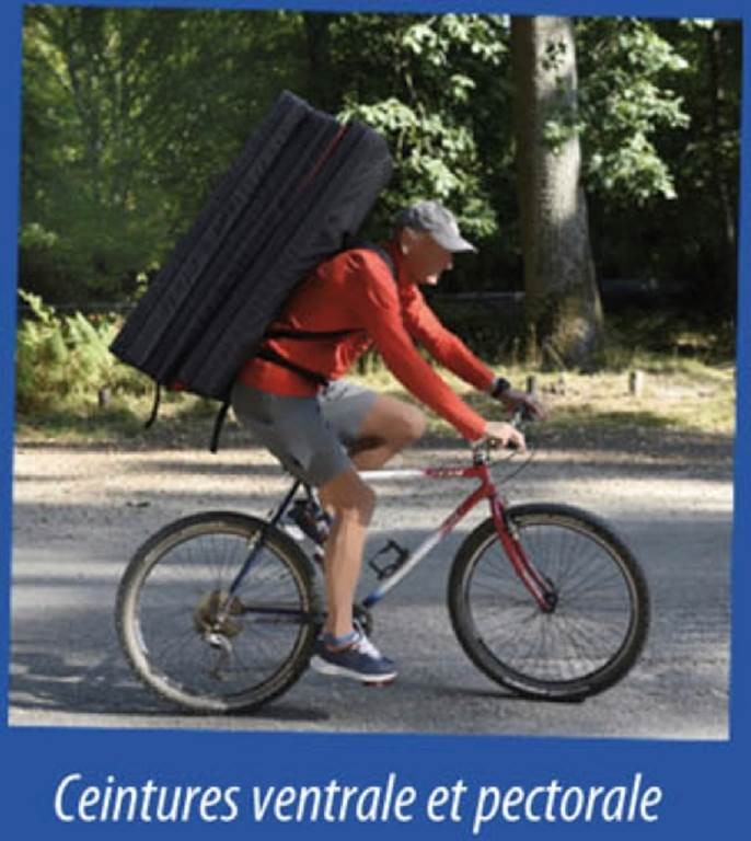 Station Bee's MELUN - Bonjour Fun