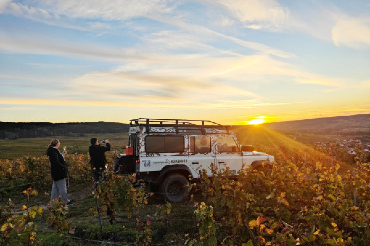 Sunset dégustation brut tradition dans les vignes 1 cru - Bonjour Fun