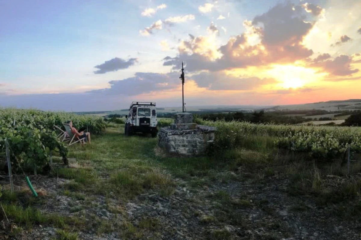 Sunset dégustation brut tradition dans les vignes 1 cru - Bonjour Fun