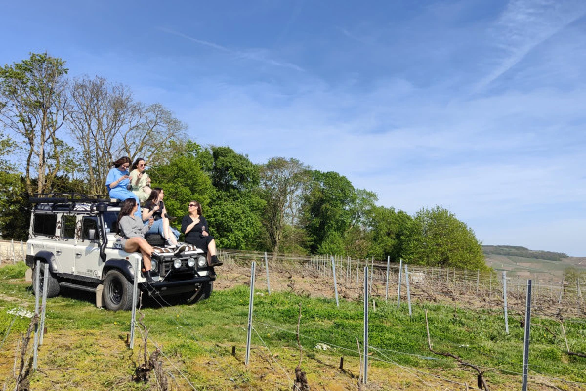 Survol du vignoble Club Prestige balade dégustation 8h00 - Bonjour Fun