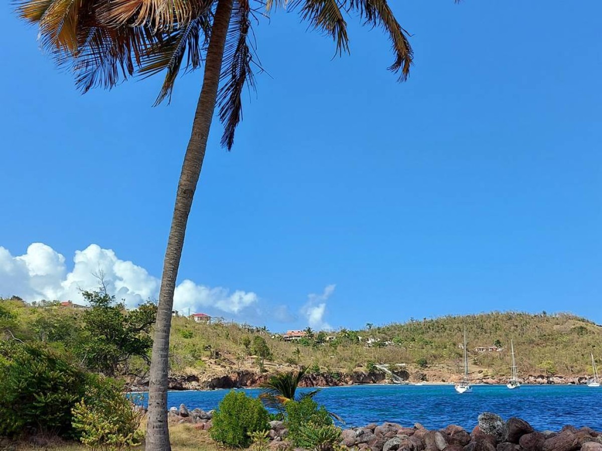 Terre de bas, ile authentique - Bonjour Fun