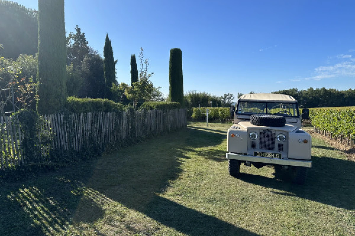 Visites et dégustations à St-Émilion en tour privé (van) - Bonjour Fun