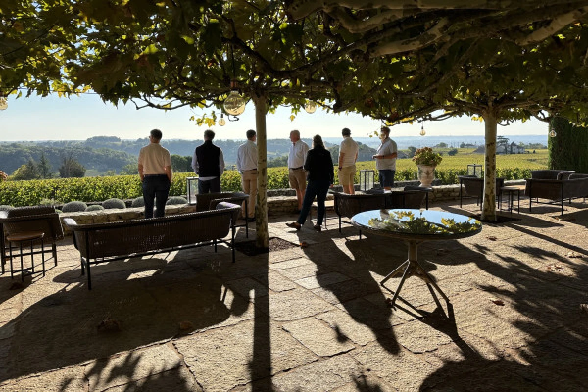 Visites et dégustations à St-Émilion en tour privé (van) - Bonjour Fun
