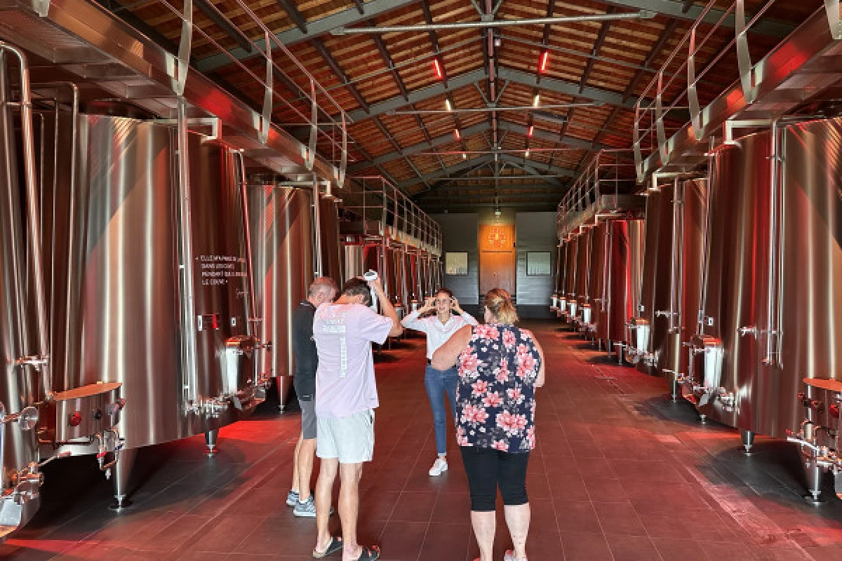 Visites et dégustations à St-Émilion en tour privé (van) - Bonjour Fun