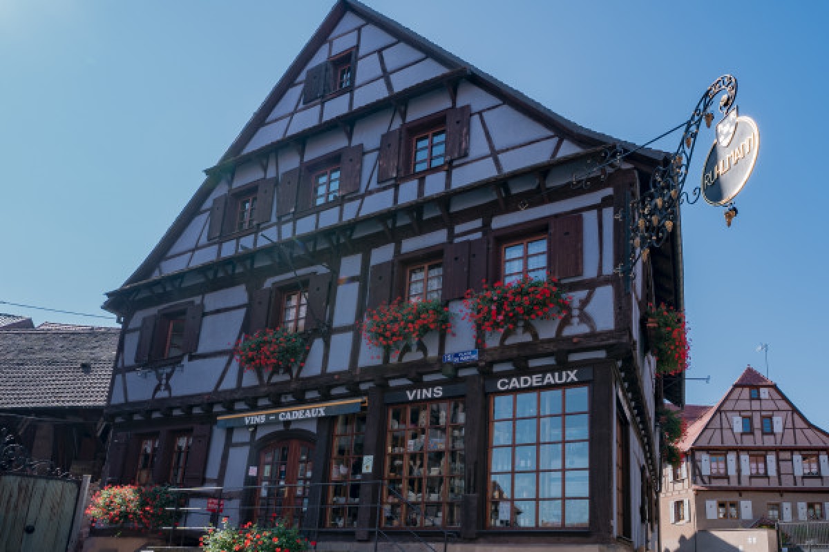 Le Petit Train du Vigneron - Bonjour Fun