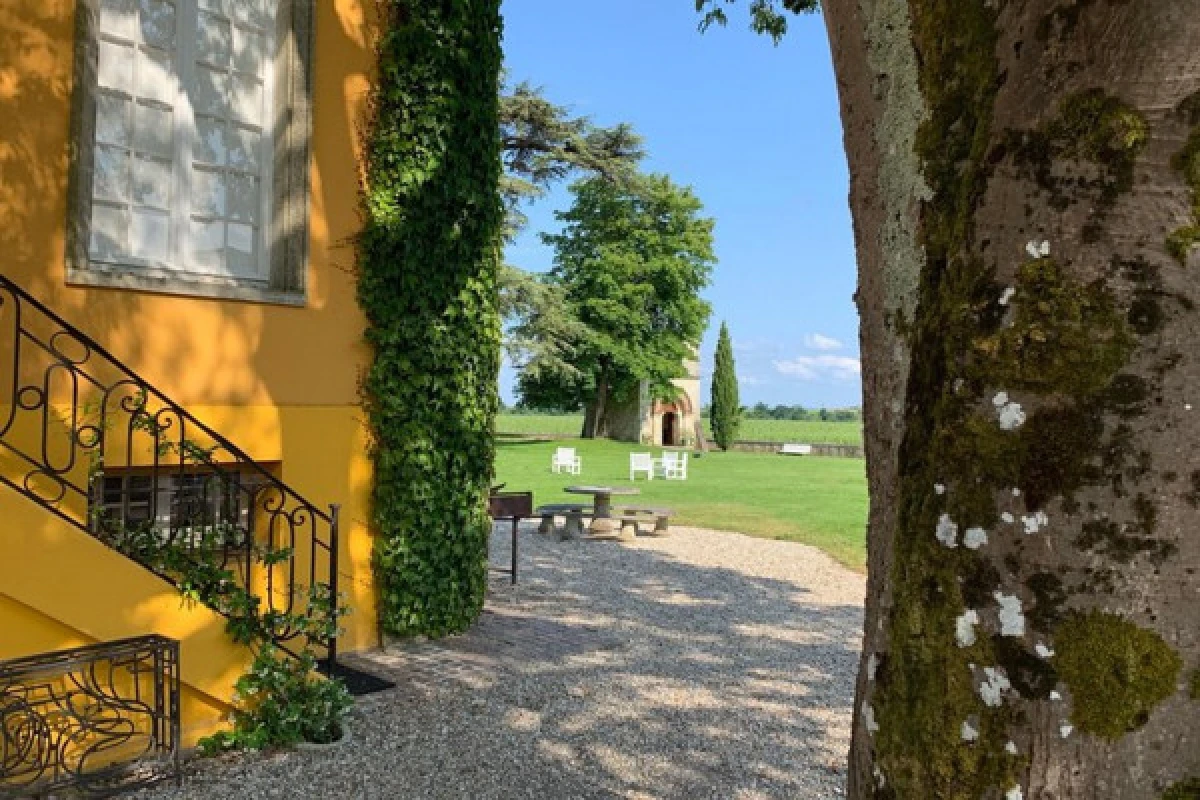 La Route des Châteaux du Médoc tour privé (Minivan Luxe) - Bonjour Fun