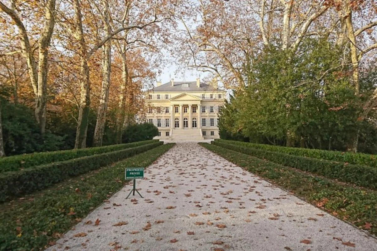 La Route des Châteaux du Médoc - Bonjour Fun