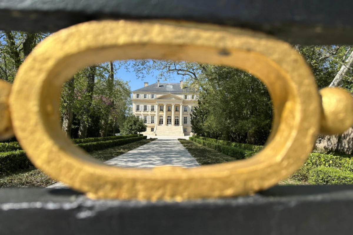 Le wine tour ultime des châteaux classés en 1855 - Bonjour Fun