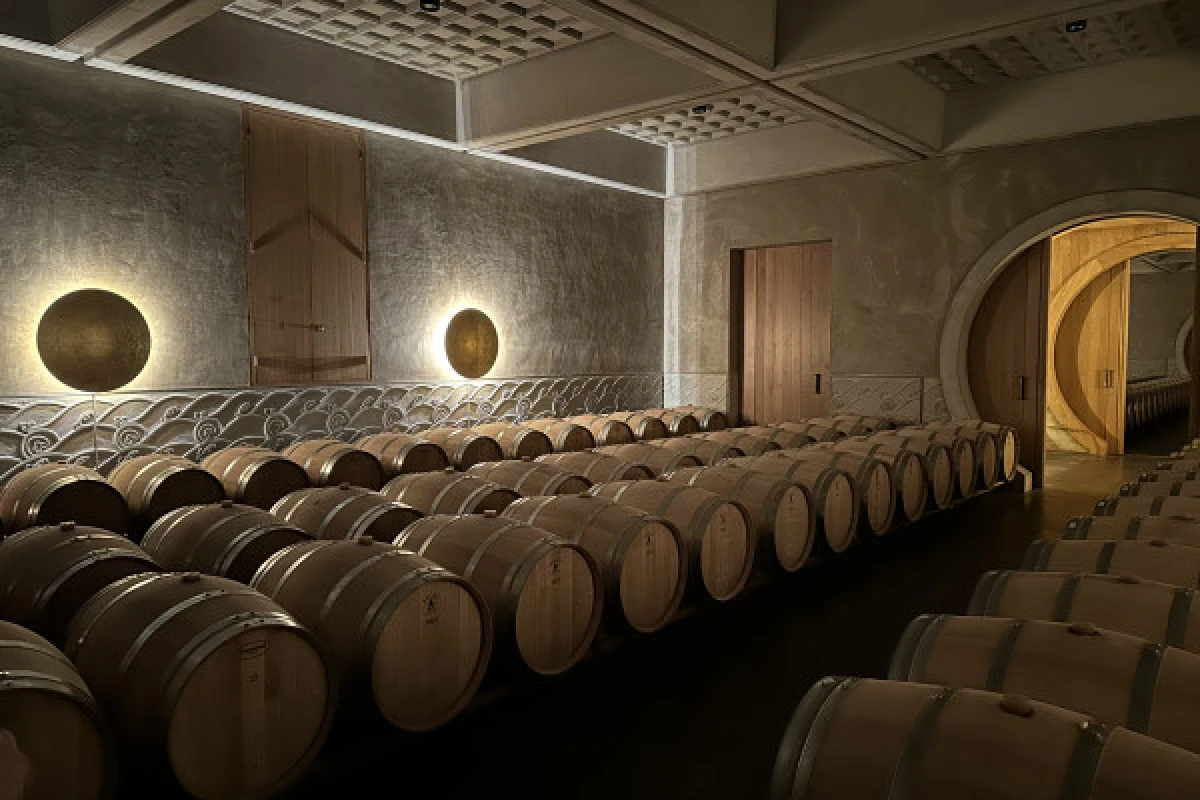 Le wine tour ultime des châteaux classés en 1855 - Bonjour Fun