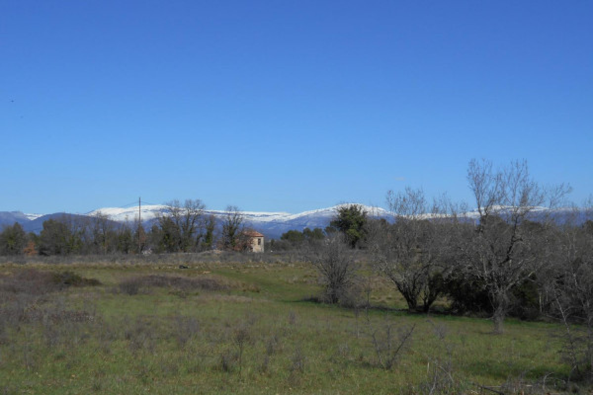 Tour de poney - Haras des Villards-CALLIAN - Bonjour Fun