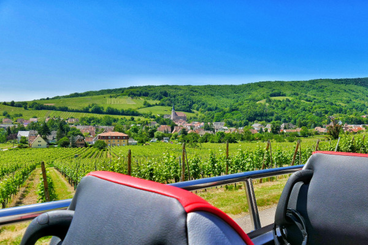 Tour Privé "Coeur d'Alsace" depuis Strasbourg - Bonjour Fun