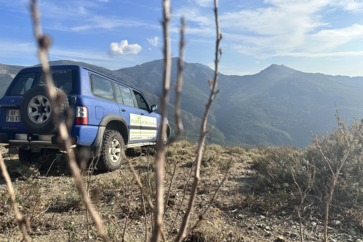 U Giussani et Saleccia - Sur la piste des crêtes - Bonjour Fun
