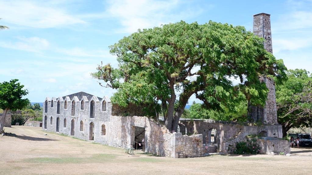 Un rhum de légende sur une terre de légendes - Bonjour Fun