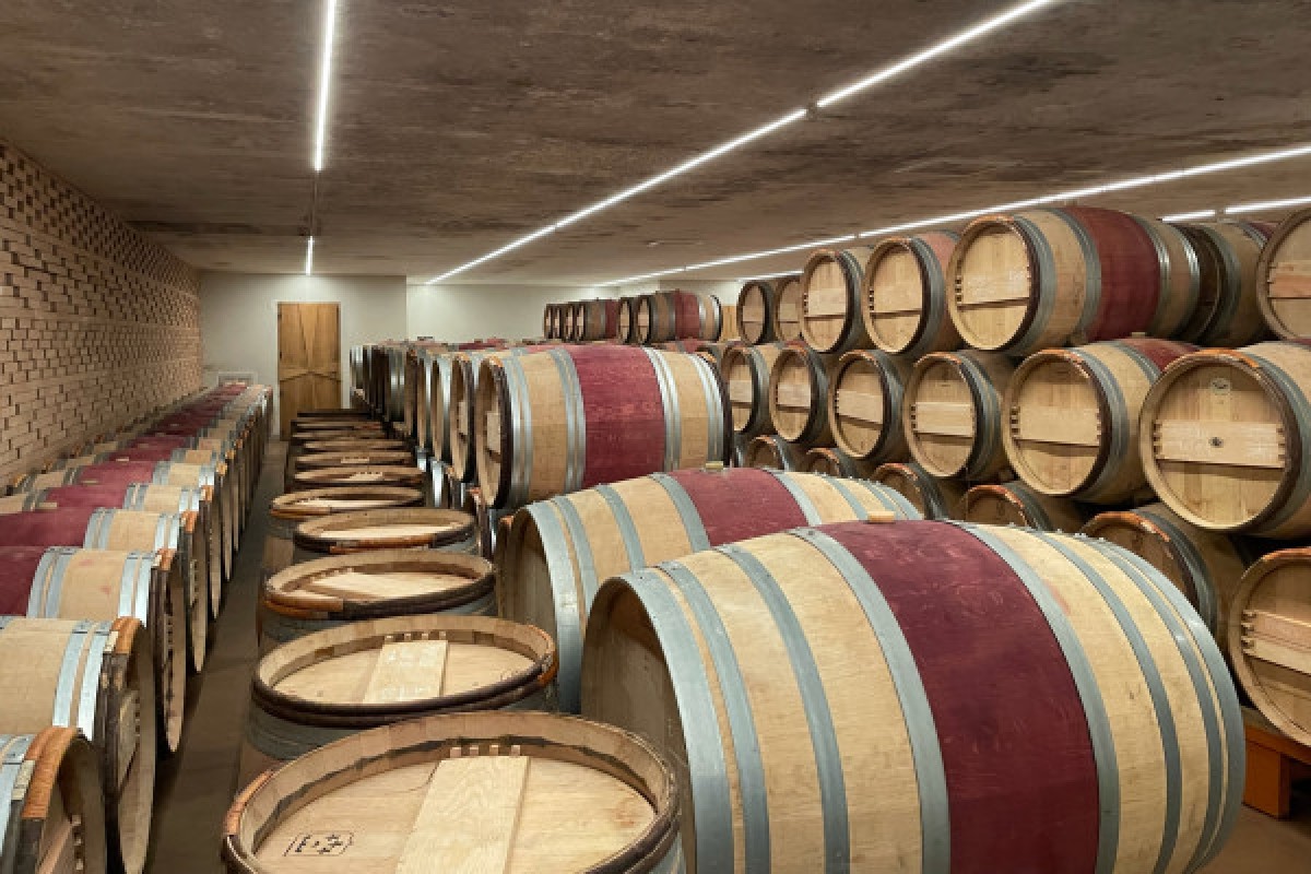 Une journée à St-Emilion en privé  (Van ou Berline) - Bonjour Fun