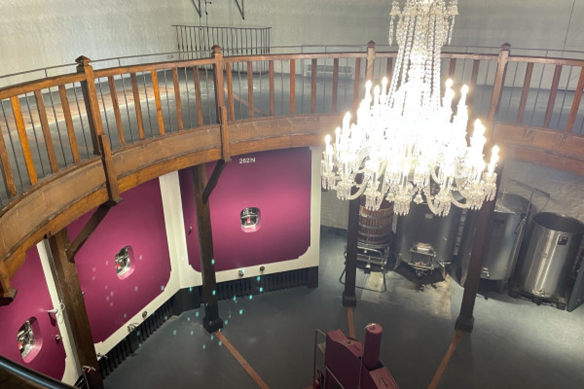 Une journée à St-Emilion en privé  (Van ou Berline) - Bonjour Fun