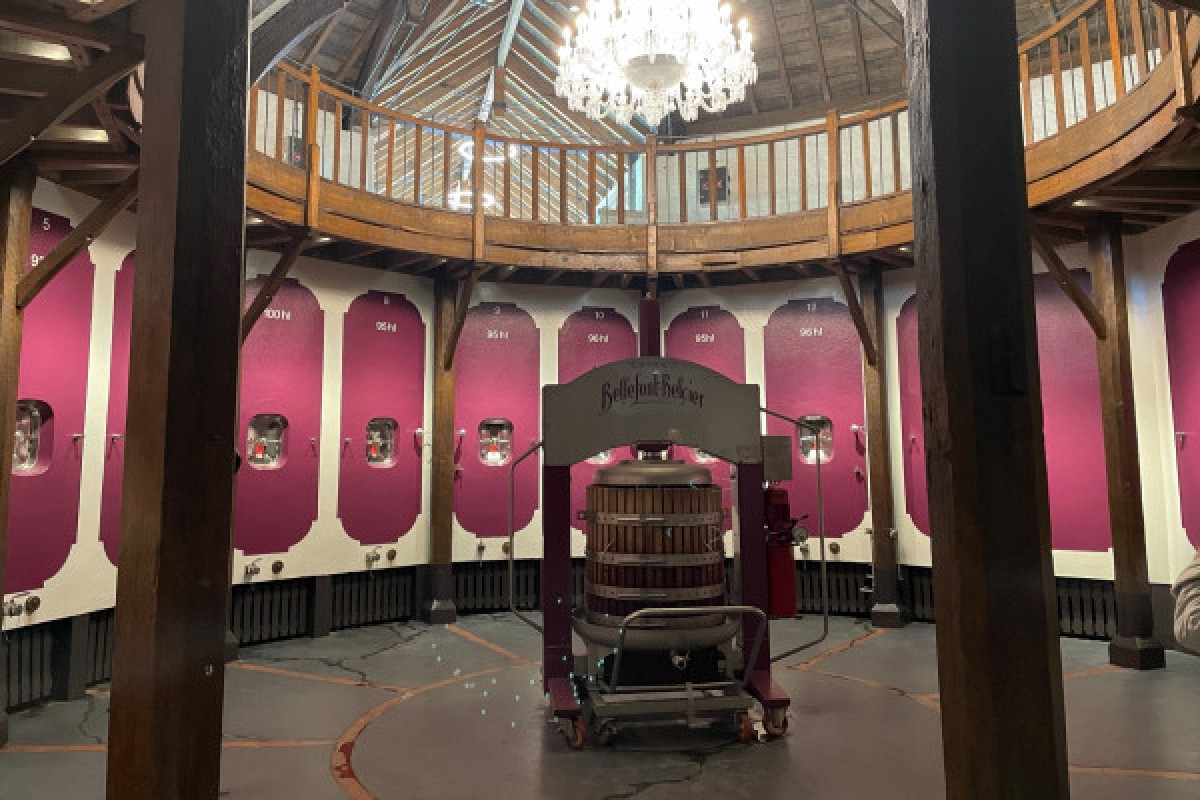 Une journée à St-Emilion en privé  (Van ou Berline) - Bonjour Fun