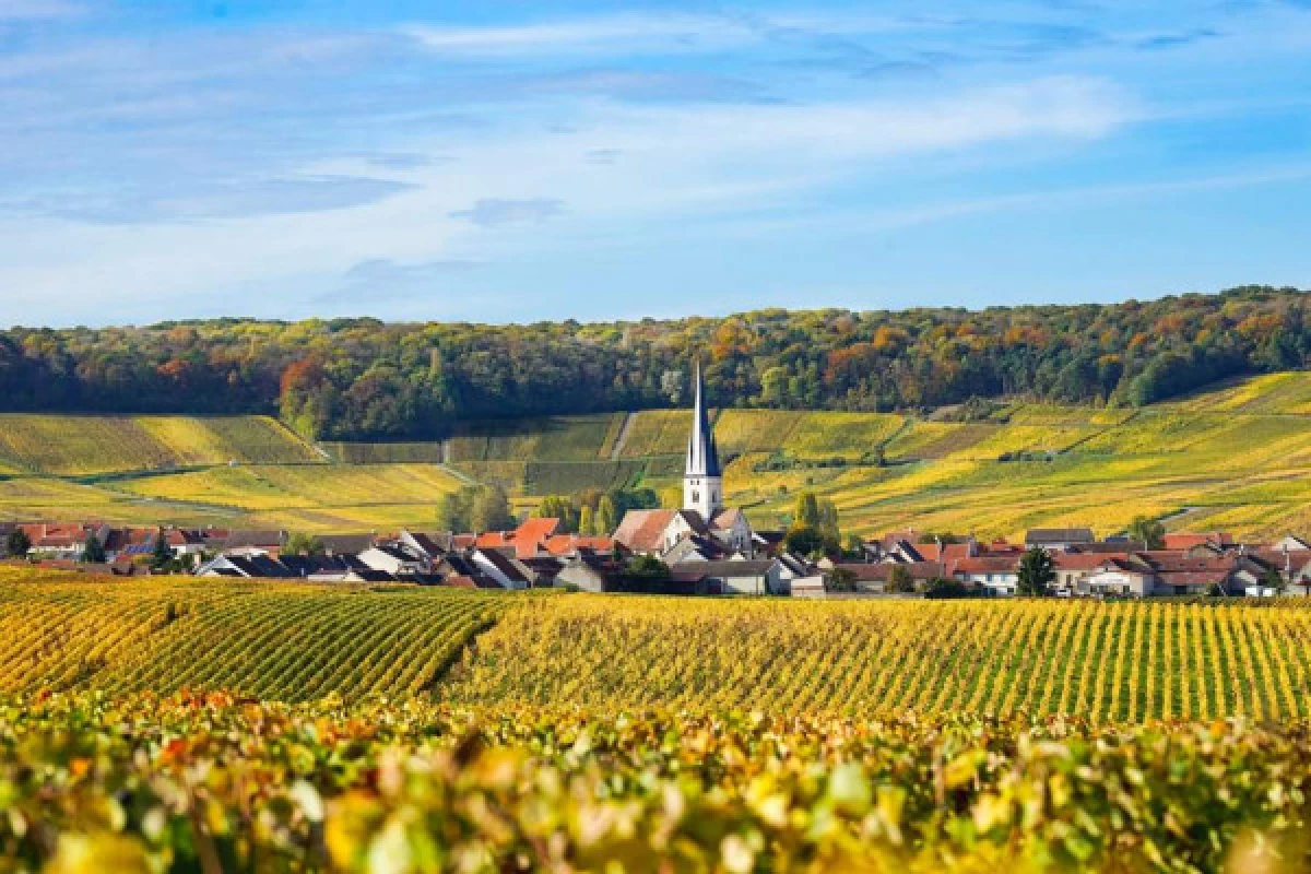 Une journée authentique en champagne - Bonjour Fun