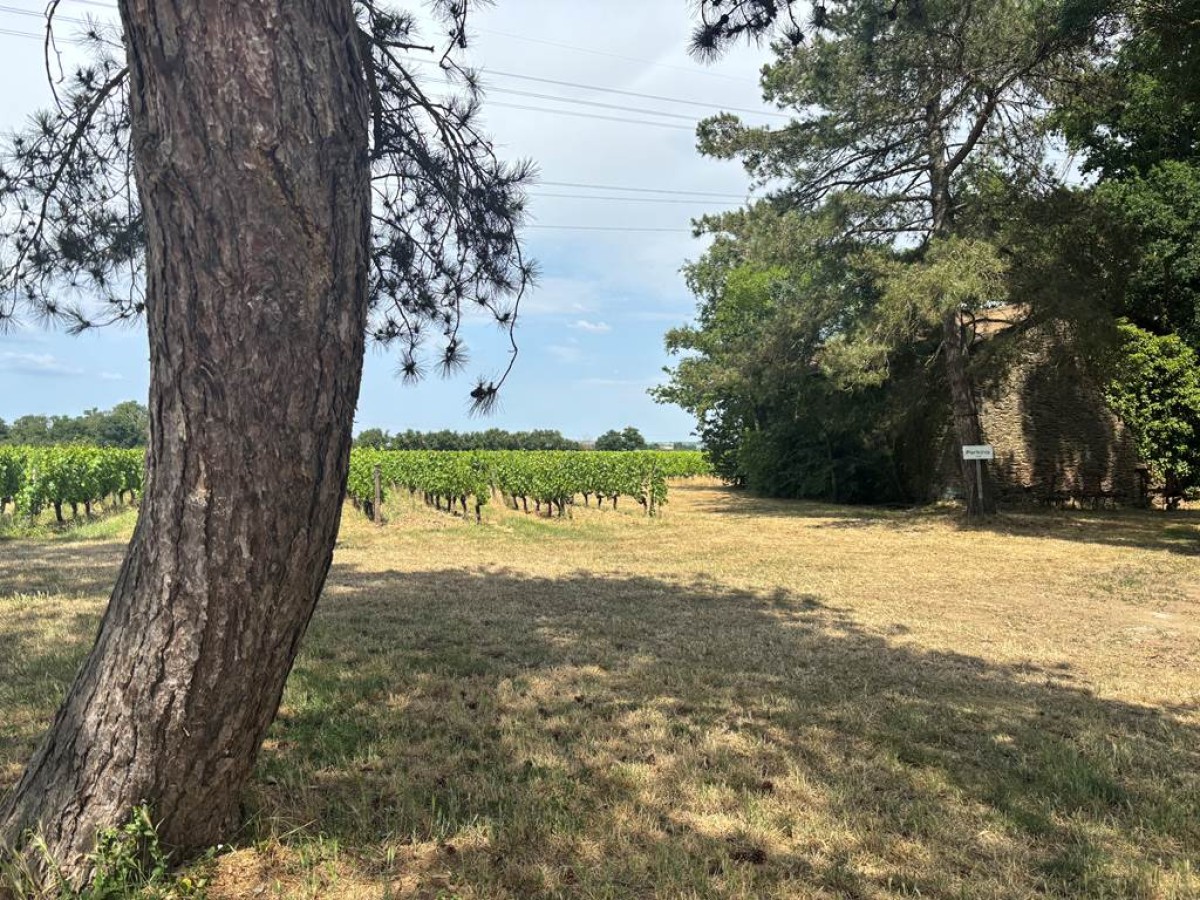 Une nuit en Chardonnay - Bonjour Fun