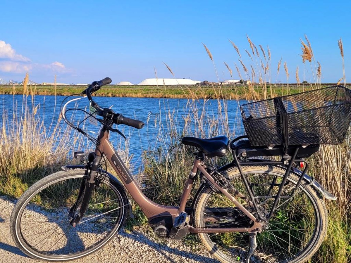 VAE OCCASION - Bonjour Fun